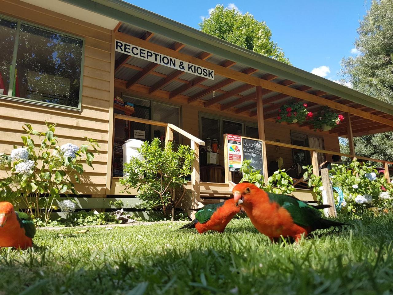 Jamieson Caravan Park Kültér fotó
